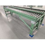 Roach 12' Roller Conveyor