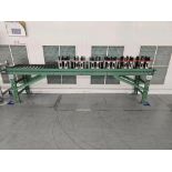 Roach 12' Roller Conveyor