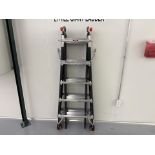 Little Giant Fiber Glass Ladder