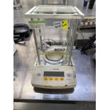 Sartorius Balance Scale model:AZ124