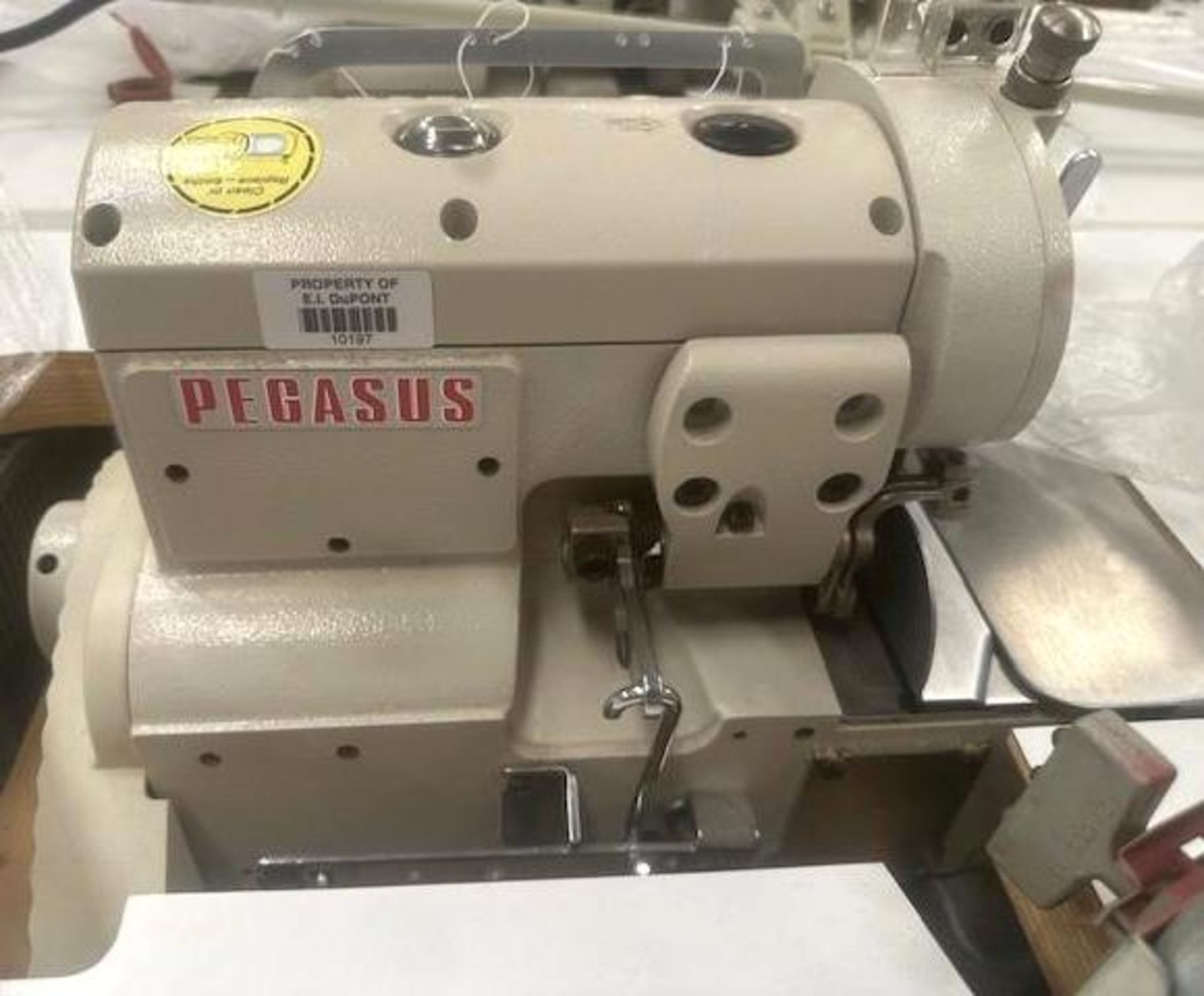 Pegasus MX5204-02-233-4 Serge Sewing Machine - Image 5 of 6