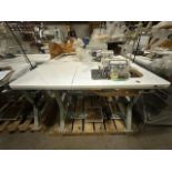 Pegasus MX5204-02-233-4 Serge Sewing Machine