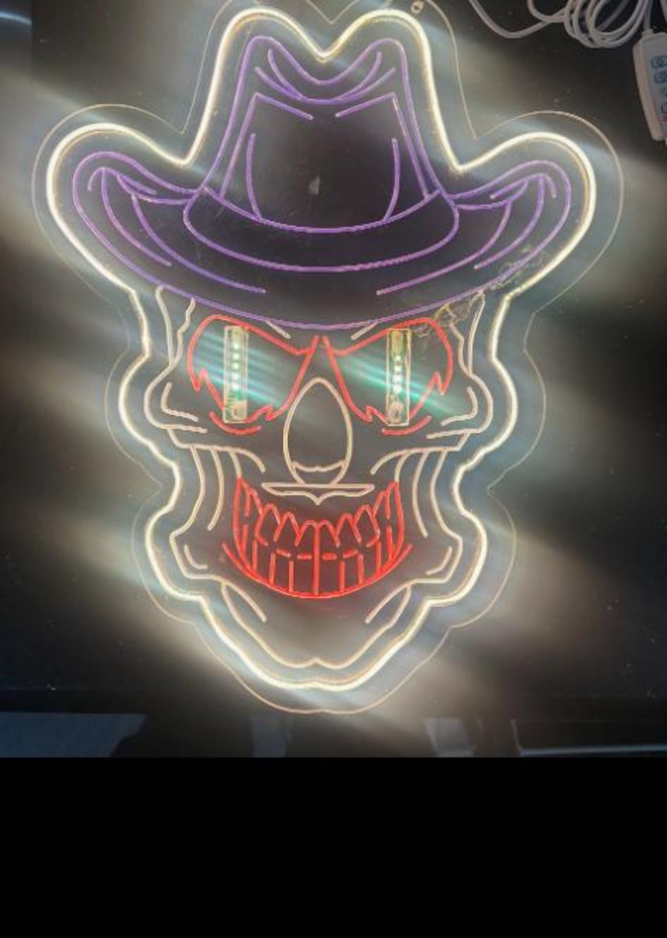 13in x 16in LED Skull Light