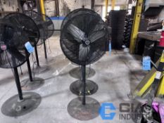 PEDESTAL FANS