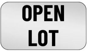 OPEN