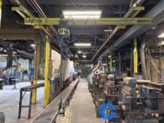1,000 LB. RM ELECTRIC CHAIN HOIST - HOIST AND TROLLEY ONLY