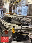 Arrowhead Dual-Belt S/S Conveyor: 21' x 4