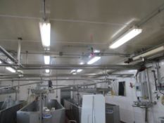 350' S/S Piping (in Make Room): 2