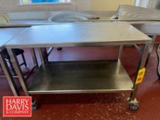 Portable S/S Table: 4' x 2' with Bottom Shelf