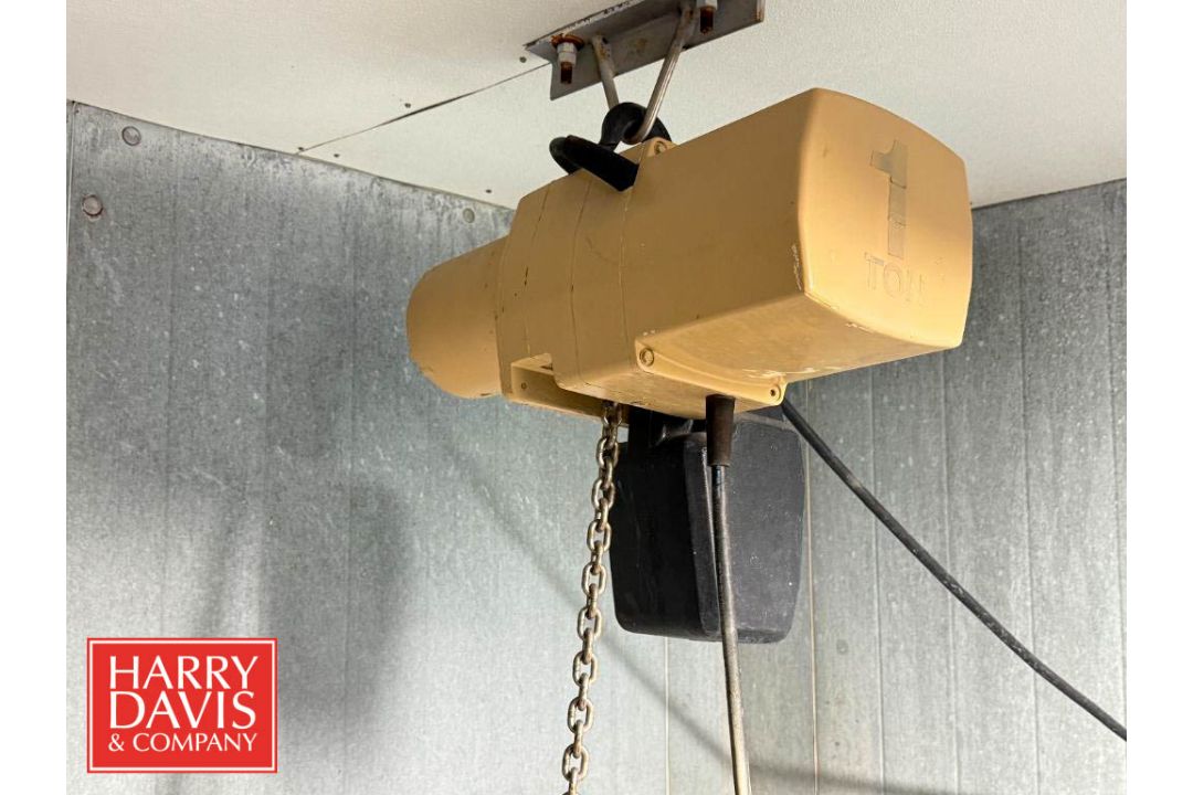 1 Ton Capacity Chain Hoist (Location: Bellmawr, NJ) - Rigging Fee: $200 - Image 2 of 3