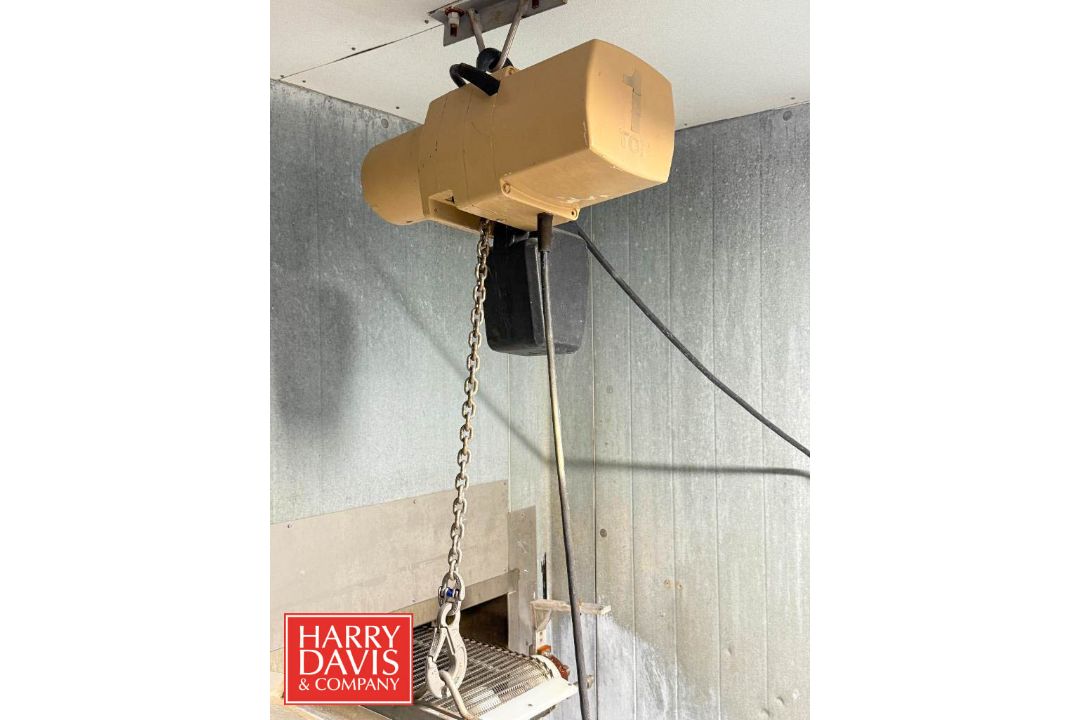 1 Ton Capacity Chain Hoist (Location: Bellmawr, NJ) - Rigging Fee: $200 - Image 1 of 3