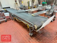 S/S Portable Chain Conveyor: 246” x 36