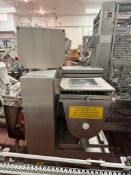 Auxiliary Ingredient Feeder, S/N: 201-5060