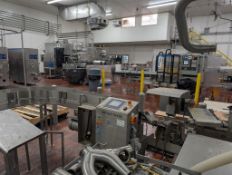 Mettler Toledo Checkweigher, S/N: 36601136