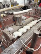 Morrison Timing Screw with Conveyor, S/N: 40-0-77265-001