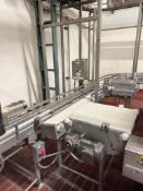 Dairy Conveyor Bundler Traffic COP with Conveyor and Controls
