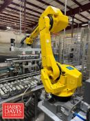 2017 Fanuc Robot, Model: M-710KL, Fanuc Robot System, Model: R-30ib, S/N: E17731603 and Tavil Safety