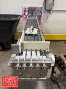 4-Lane Transfer Conveyor with Manual Air Paddle