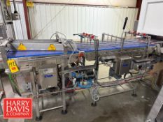 DMA 4-Lane Laning Conveyor, S/N: 23202