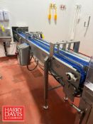 S/S Base 2-Lane Infeed Laning Conveyor: 20’