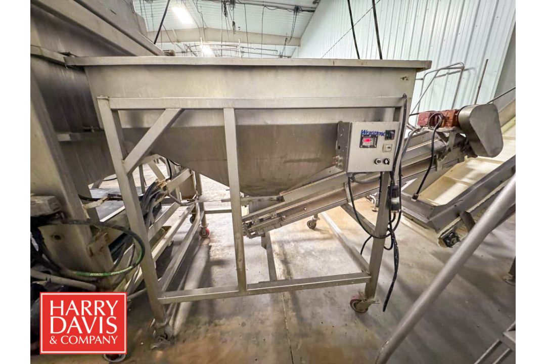 Portable S/S Hopper Conveyor: 29" x 1’ (Hopper: 67.5" x 43” x 35" Depth) (Subject to BULK BID: - Image 6 of 11
