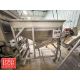 Portable S/S Hopper Conveyor: 29" x 1’ (Hopper: 67.5" x 43” x 35" Depth) (Subject to BULK BID: - Image 6 of 11