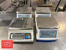 (1) CAS 5 LB Capacity S/S Table Top Scale and (3) AE Adam 6 LB Capacity Table Top Scales