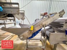 Incline Flighted Conveyor: 80