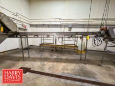 S/S Incline Conveyor: 208