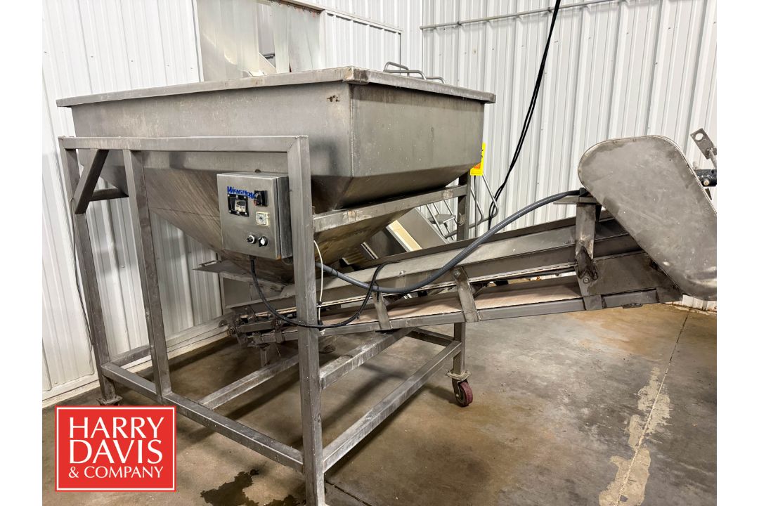 Portable S/S Hopper Conveyor: 29" x 1’ (Hopper: 67.5" x 43” x 35" Depth) (Subject to BULK BID: - Image 1 of 11
