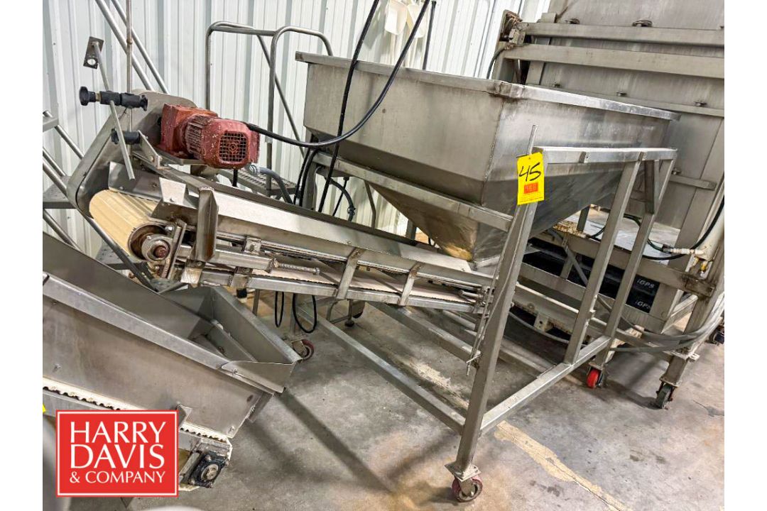 Portable S/S Hopper Conveyor: 29" x 1’ (Hopper: 67.5" x 43” x 35" Depth) (Subject to BULK BID: - Image 3 of 11