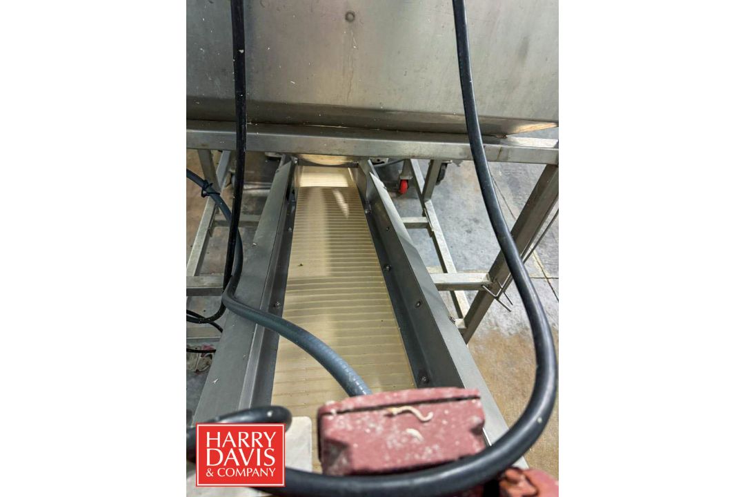 Portable S/S Hopper Conveyor: 29" x 1’ (Hopper: 67.5" x 43” x 35" Depth) (Subject to BULK BID: - Image 11 of 11