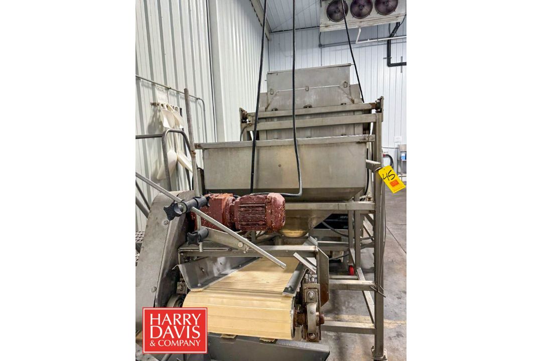 Portable S/S Hopper Conveyor: 29" x 1’ (Hopper: 67.5" x 43” x 35" Depth) (Subject to BULK BID: - Image 4 of 11