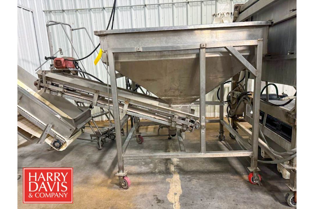 Portable S/S Hopper Conveyor: 29" x 1’ (Hopper: 67.5" x 43” x 35" Depth) (Subject to BULK BID: - Image 2 of 11