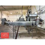 Conveyor with Drive: 124" x 17.5", 80" x 8" (Subject to BULK BID: Lot 6)