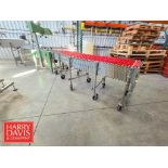 Nestaflex Expandable Conveyor