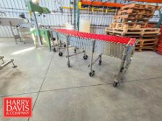 Nestaflex Expandable Conveyor