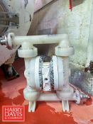 Wilden Poly Pneumatic Double Diaphragm Pump