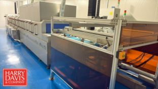 Guangzhou HuaJing Automatic Crate Tray Washing Machine, Model: WD-204N with Conveyor and Raynen HMI,