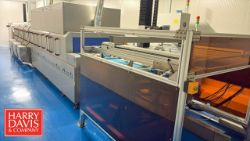 Guangzhou HuaJing Automatic Crate Tray Washing Machine, Model: WD-204N with Conveyor and Raynen HMI,