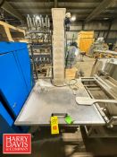 Cap Hopper with Flighted Conveyor (Location: Port Edwards, WI)