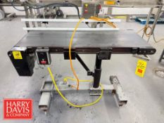 Belt Conveyor: 4’ x 18” x 3' Height