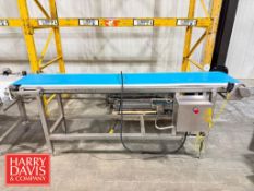 S/S Belt Conveyor: 94” x 15” x 36” Height