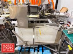 Belt Conveyor: 53” x 28” x 42” Height