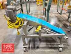 S/S Incline Belt Conveyor: 52” x 12” x 34” Height