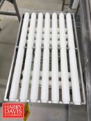 S/S Conveyor: 27” x 15” x 34” Height and Spare Roller Top