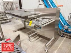 S/S Transfer Belt Conveyor: 9’ x 22”