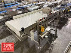 S/S Belt Conveyor: 88” x 32” x 36” Height with S/S Motor