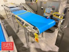 S/S Belt Conveyor: 60