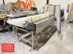 Belt Conveyor: 90” x 28” x 43” Height
